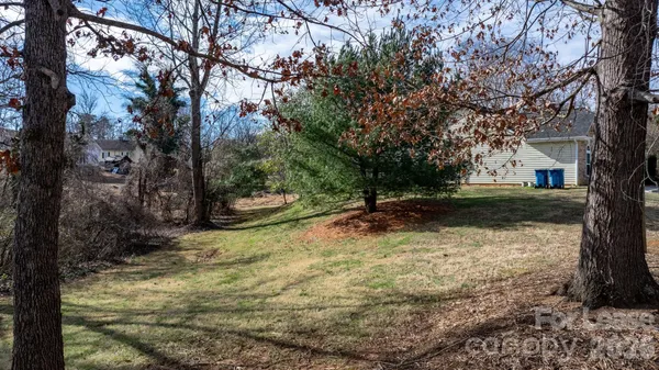 a view of backyard with tree