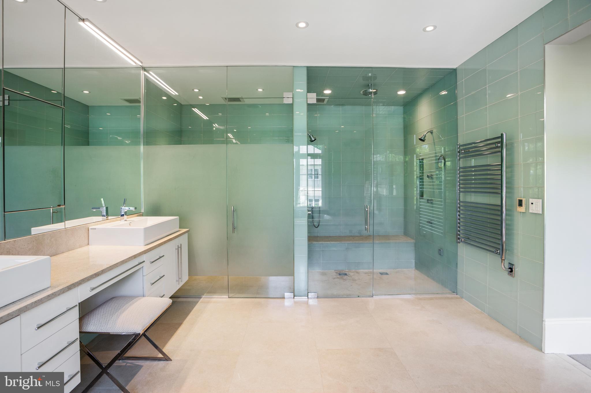 2100 Dunmore Lane Washington, DC 20007 - Photo 15 of 38 Master Bathroom