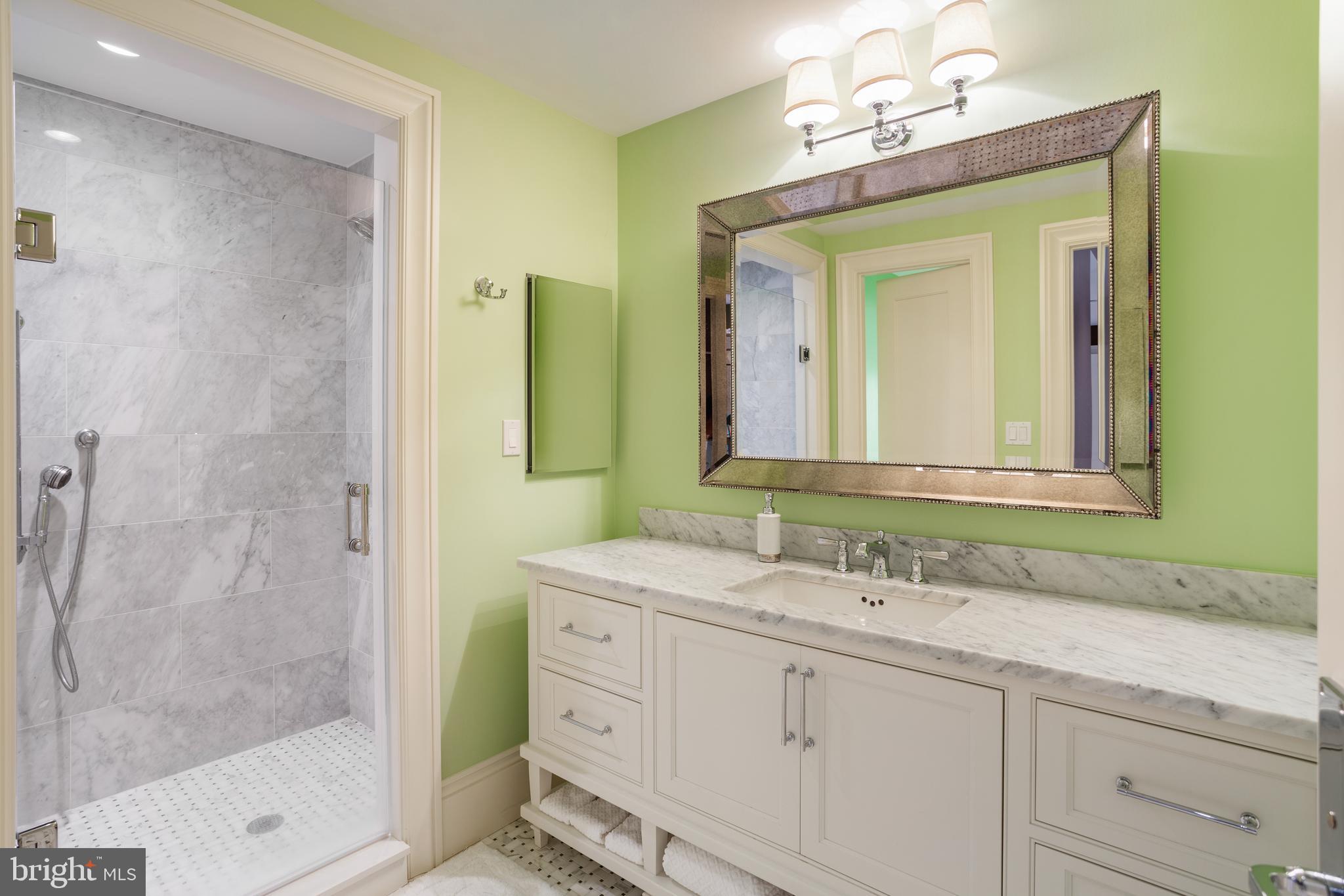 2100 Dunmore Lane Washington, DC 20007 - Photo 30 of 38 En-Suite Bath