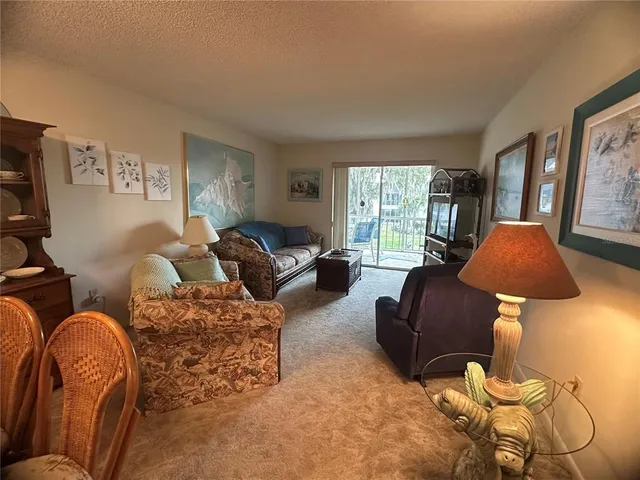 a living room with furniture rug and window