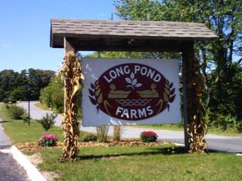 9 Bay Head Road Marstons Mills, MA 02648 - Photo 25 of 28 Additional Photo