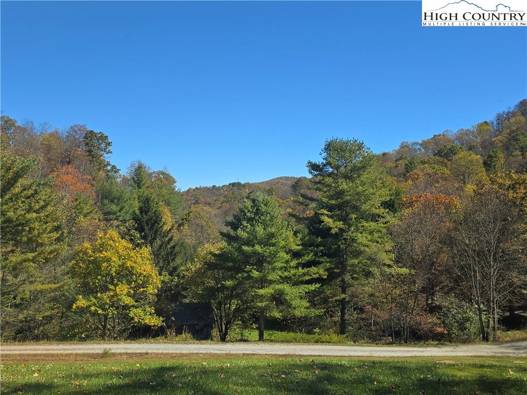 709 Deep Ford Road Lansing, NC 28643 - Photo 4 of 33 a view of a grassy field with trees