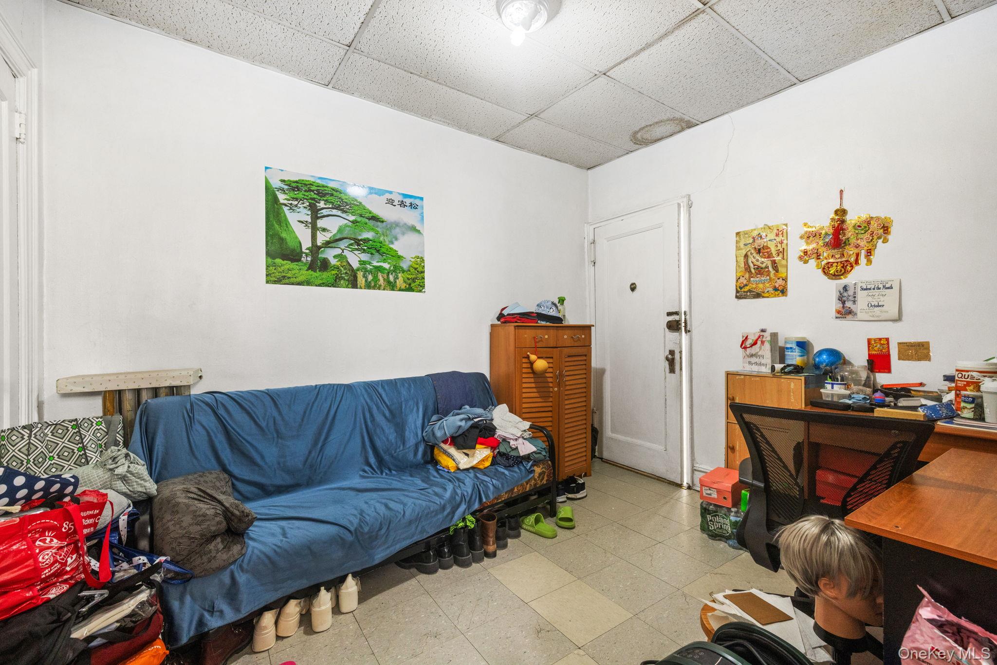 149 Dahill Road Brooklyn, NY 11218 - Photo 13 of 36 a living room with furniture and a couch