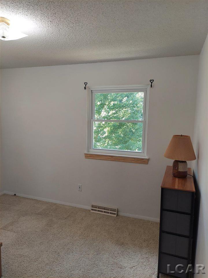 14500 Hudson Road Manchester, MI 48158 - Photo 36 of 46