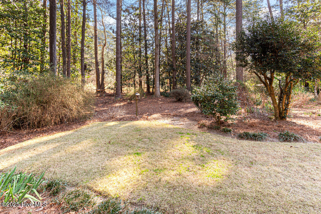 145 Elk Road Southern Pines, NC 28387 - Photo 36 of 50 Private Oasis