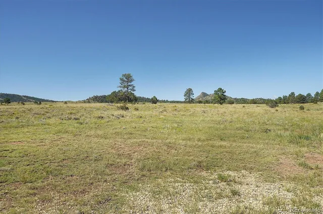 a view of an ocean from a yard
