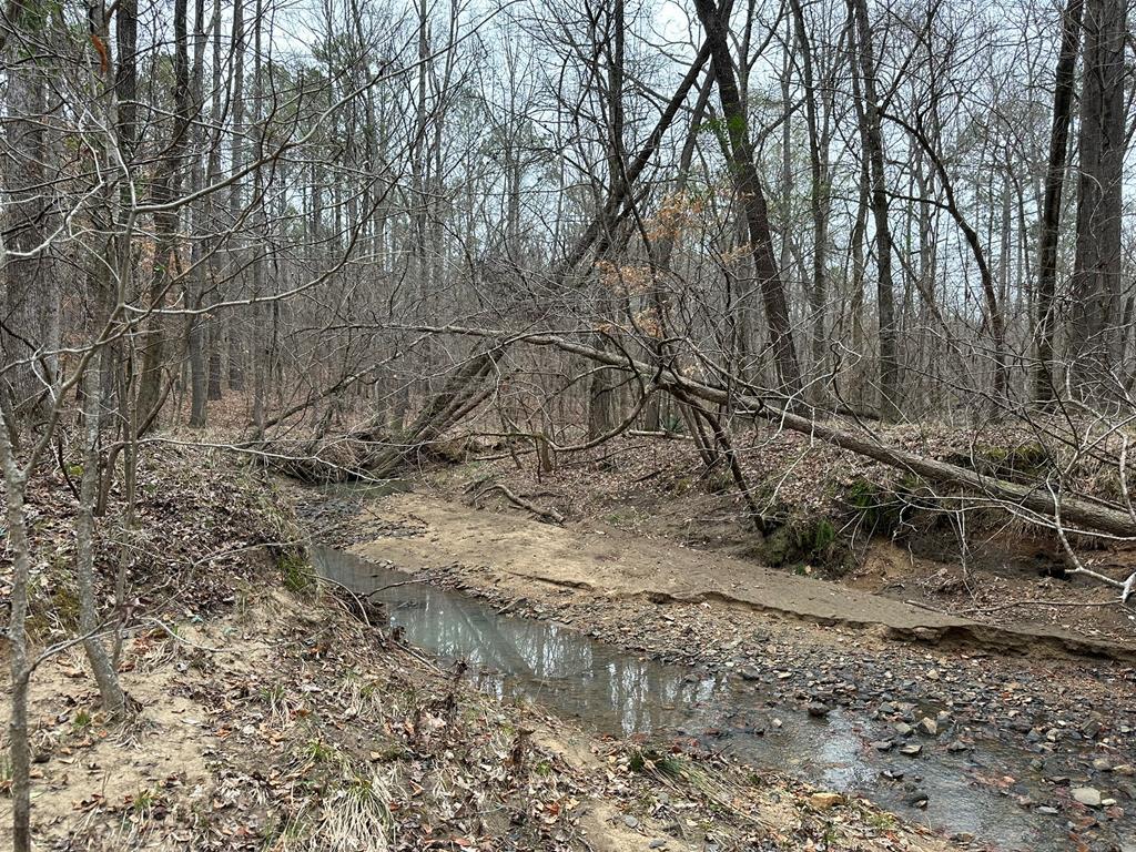 0 Biggers Road Columbus, GA 31904 - Photo 2 of 8