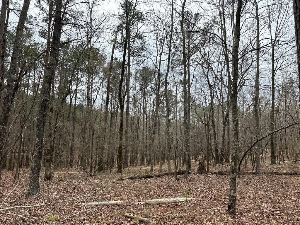 0 Biggers Road Columbus, GA 31904 - Photo 3 of 8