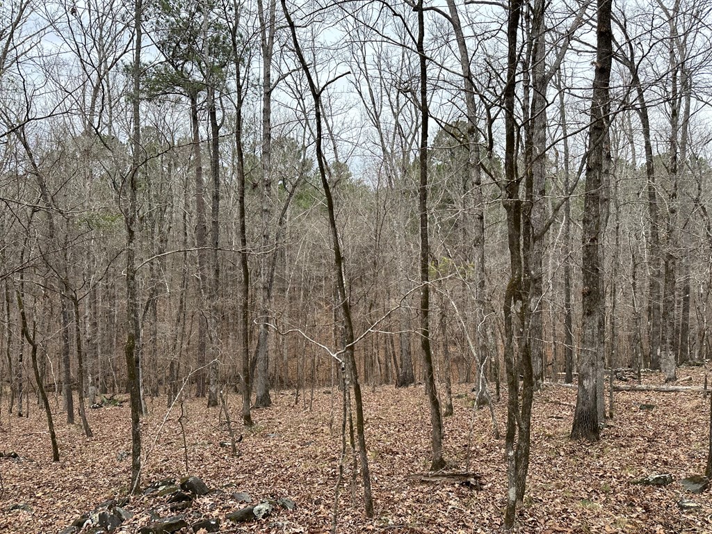 0 Biggers Road Columbus, GA 31904 - Photo 4 of 8