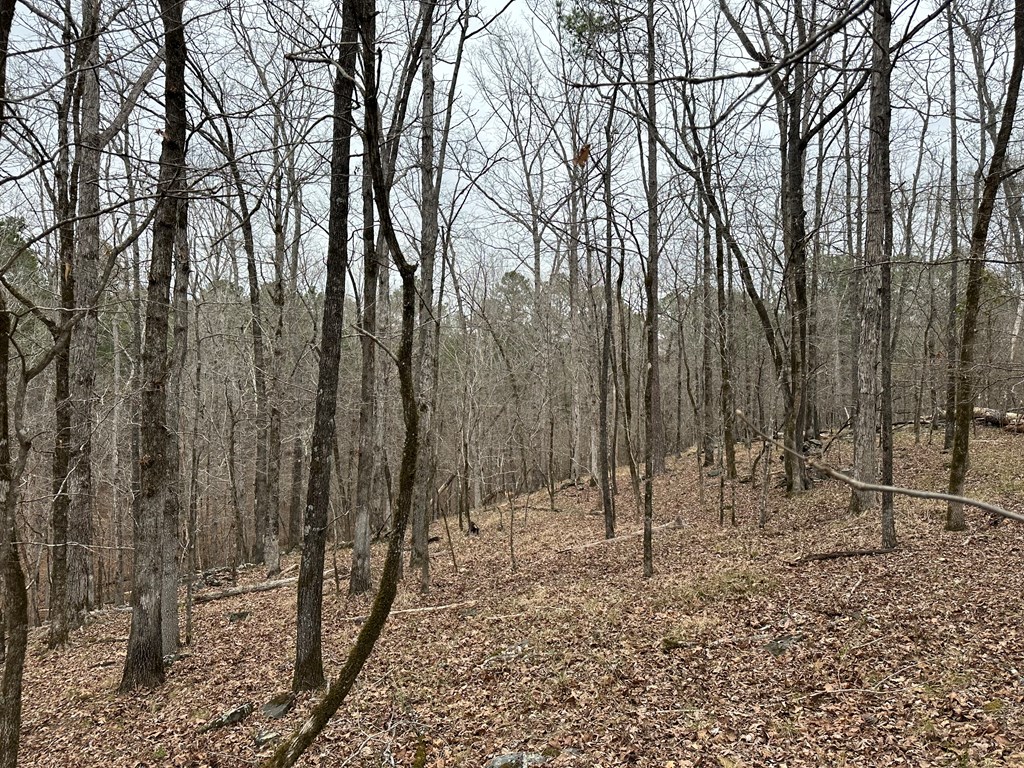 0 Biggers Road Columbus, GA 31904 - Photo 5 of 8