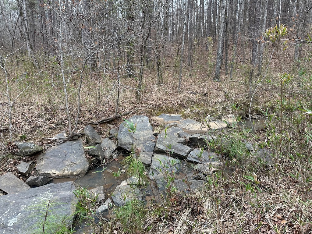 0 Biggers Road Columbus, GA 31904 - Photo 6 of 8