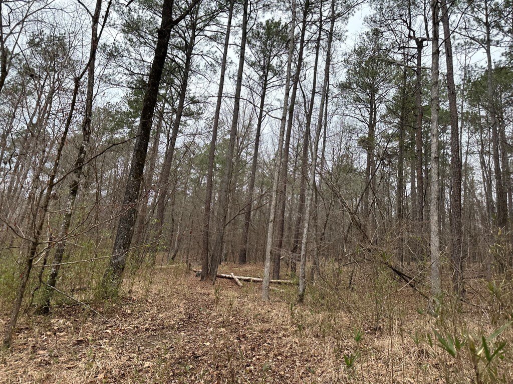 0 Biggers Road Columbus, GA 31904 - Photo 7 of 8