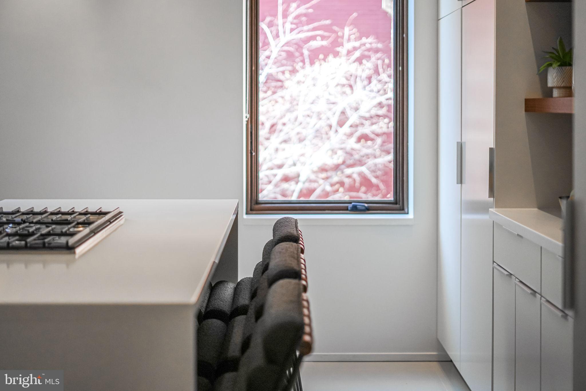 1836 9th Street Northwest, Unit 2 Washington, DC 20001 - Photo 19 of 30 a picture of a door and a rug