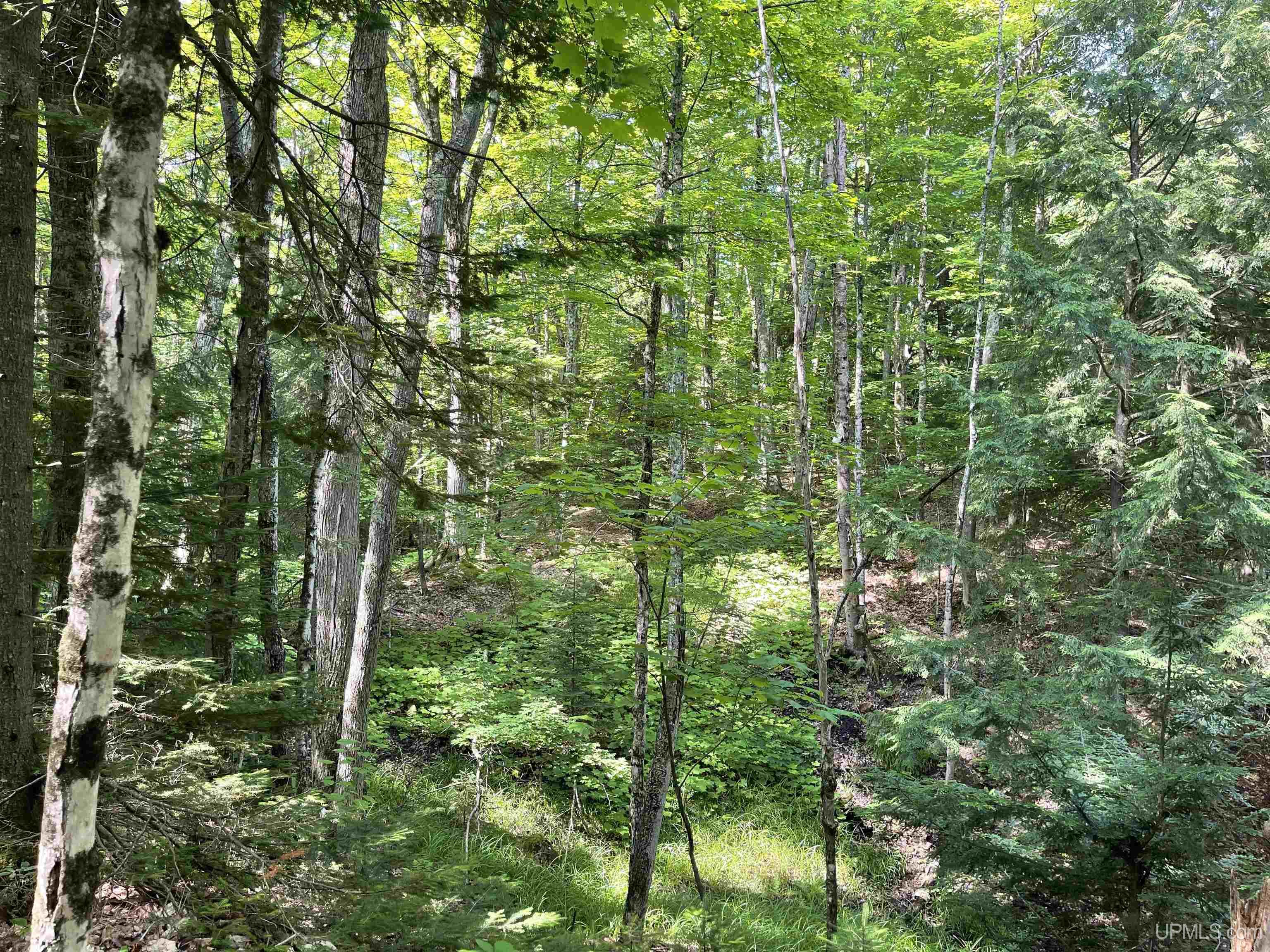 17-ac Cooper Lake Road Ishpeming, MI 49849 - Photo 9 of 10
