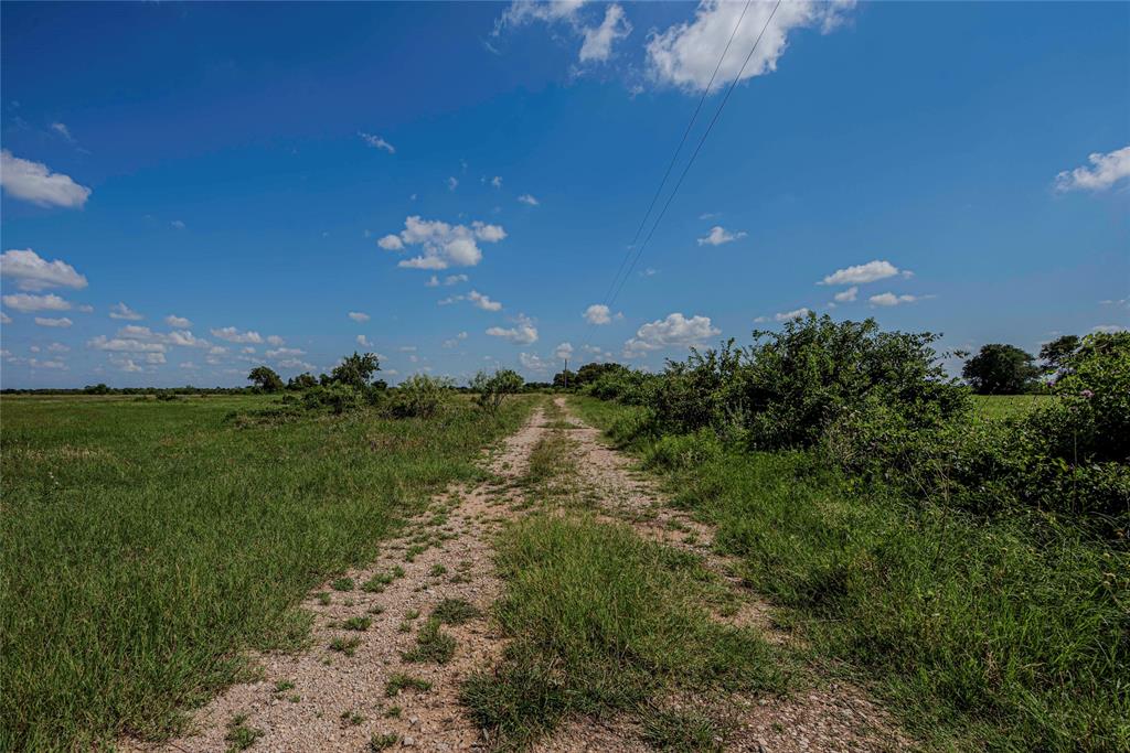 1217 Highway 2731 Rising Star, TX 76471 - Photo 2 of 9