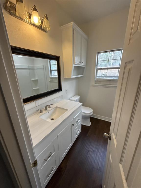 15280 Wynn School Road Hosston, LA 71043 - Photo 28 of 38 a bathroom with a sink a mirror and a toilet