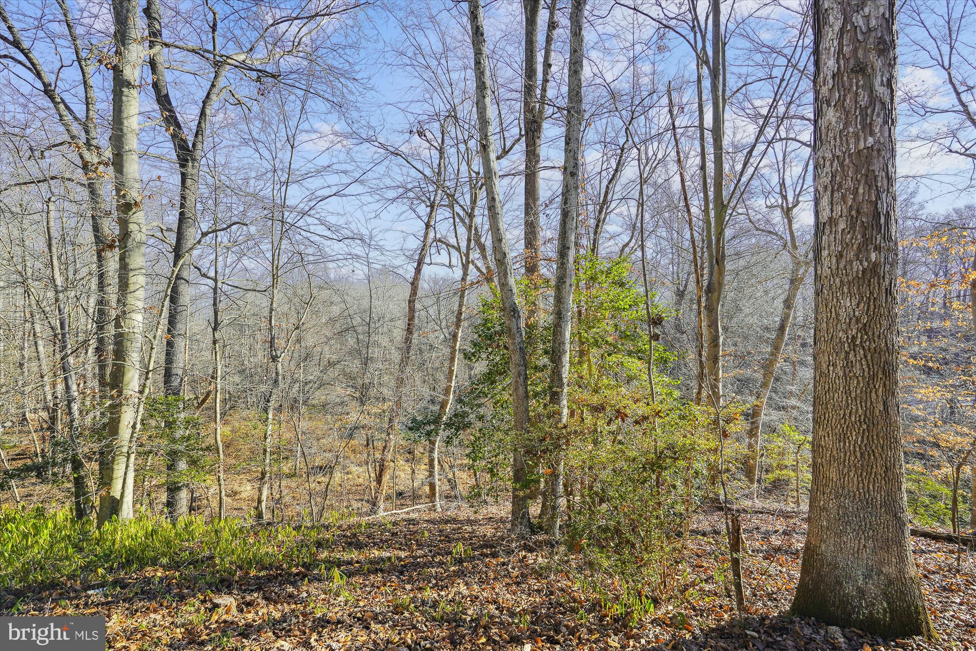 2025 Lower Marlboro Road Owings, MD 20736 - Photo 58 of 66 Gallery Image 58