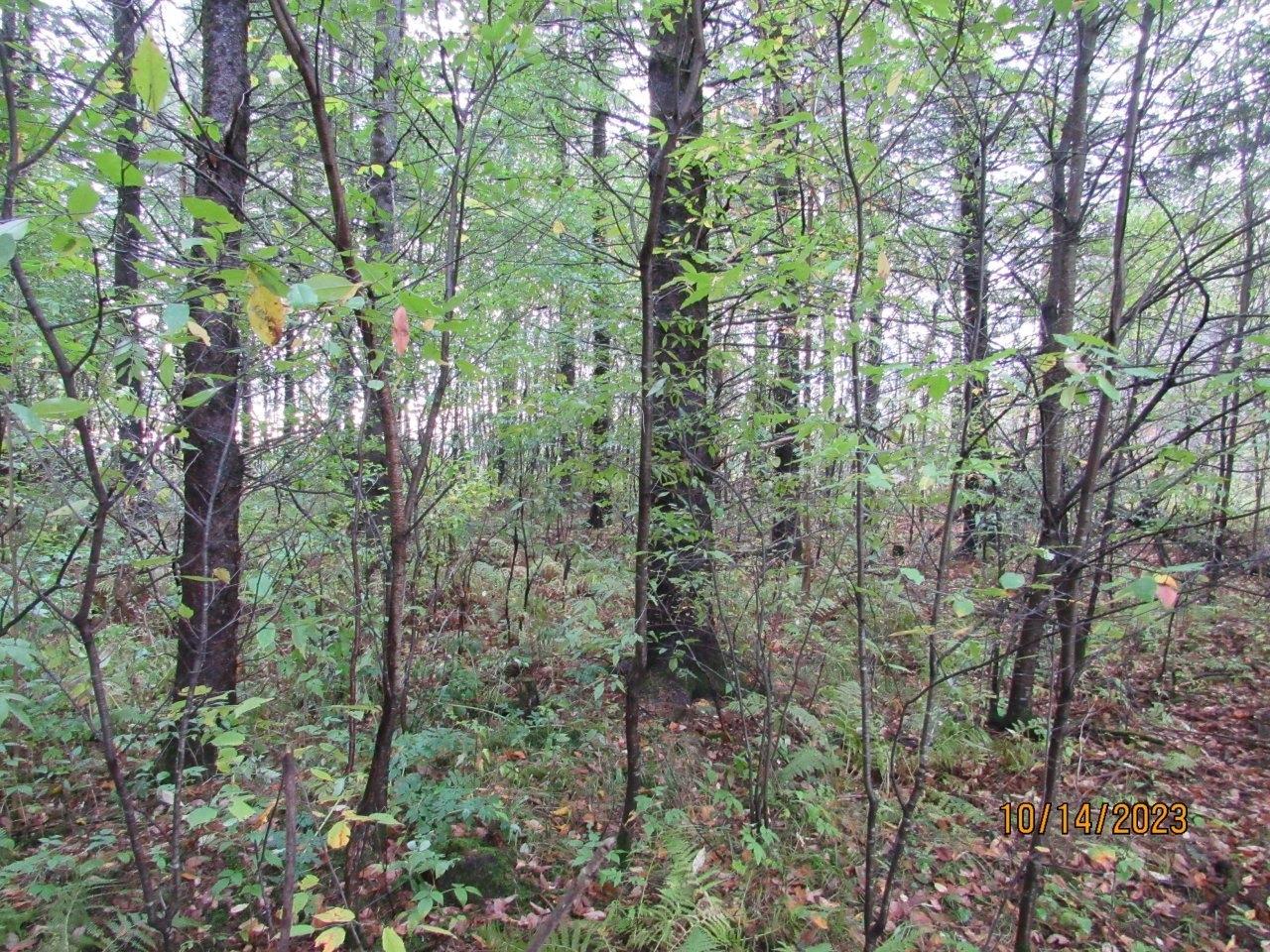 Off Mill Road Ogema, WI 54459 - Photo 12 of 24 Gallery Image 12