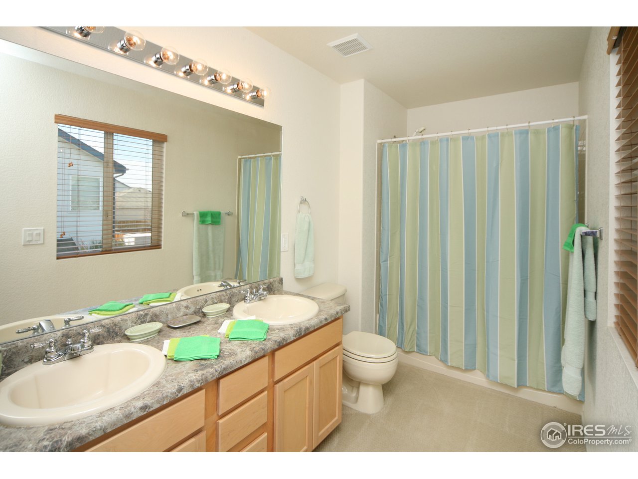 1908 Falcon Ridge Drive Fort Collins, CO 80528 - Photo 9 of 14 Gallery Image 9