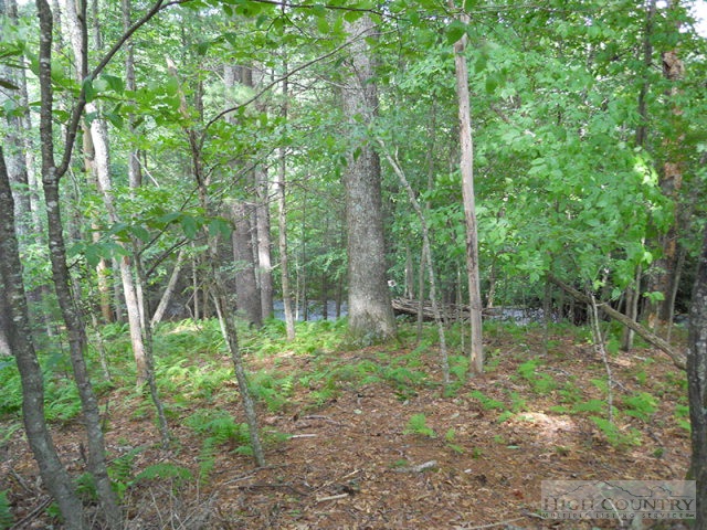 Whitetail Ridge Road Boone, NC 28607 - Photo 2 of 10 Gallery Image 2