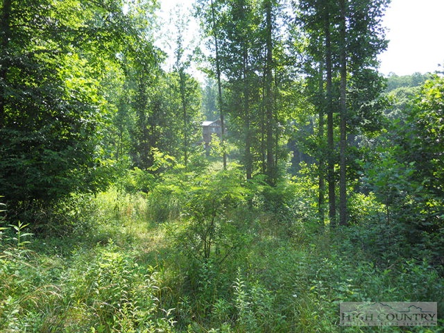 Whitetail Ridge Road Boone, NC 28607 - Photo 3 of 10 Gallery Image 3