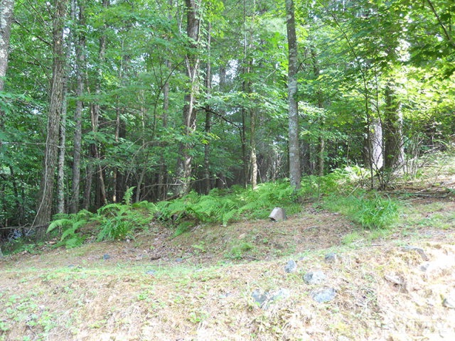 Whitetail Ridge Road Boone, NC 28607 - Photo 4 of 10 Gallery Image 4