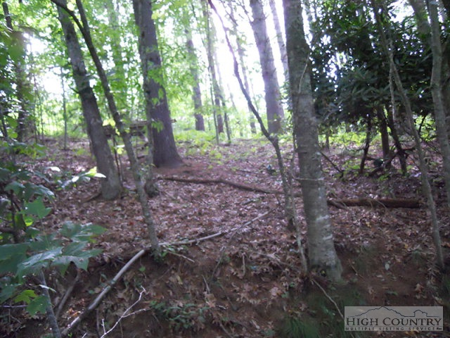 Whitetail Ridge Road Boone, NC 28607 - Photo 5 of 10 Gallery Image 5