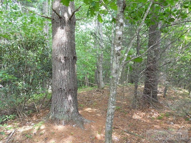 Whitetail Ridge Road Boone, NC 28607 - Photo 6 of 10 Gallery Image 6