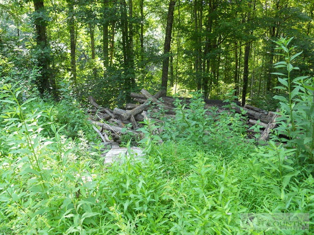 Whitetail Ridge Road Boone, NC 28607 - Photo 7 of 10 Gallery Image 7