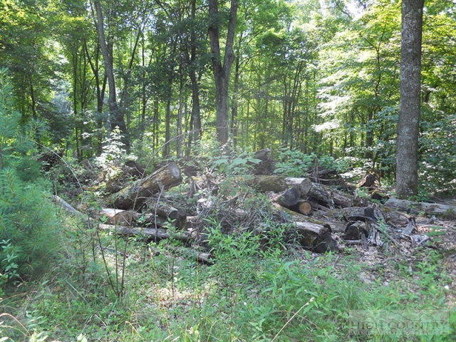 Whitetail Ridge Road Boone, NC 28607 - Photo 8 of 10 Gallery Image 8
