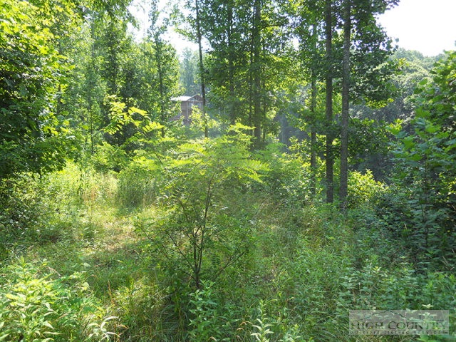 Whitetail Ridge Road Boone, NC 28607 - Photo 9 of 10 Gallery Image 9