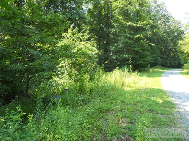 Whitetail Ridge Road Boone, NC 28607 - Photo 10 of 10 Gallery Image 10