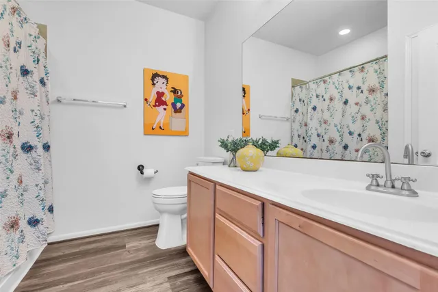 a bathroom with a sink a toilet and shower curtain