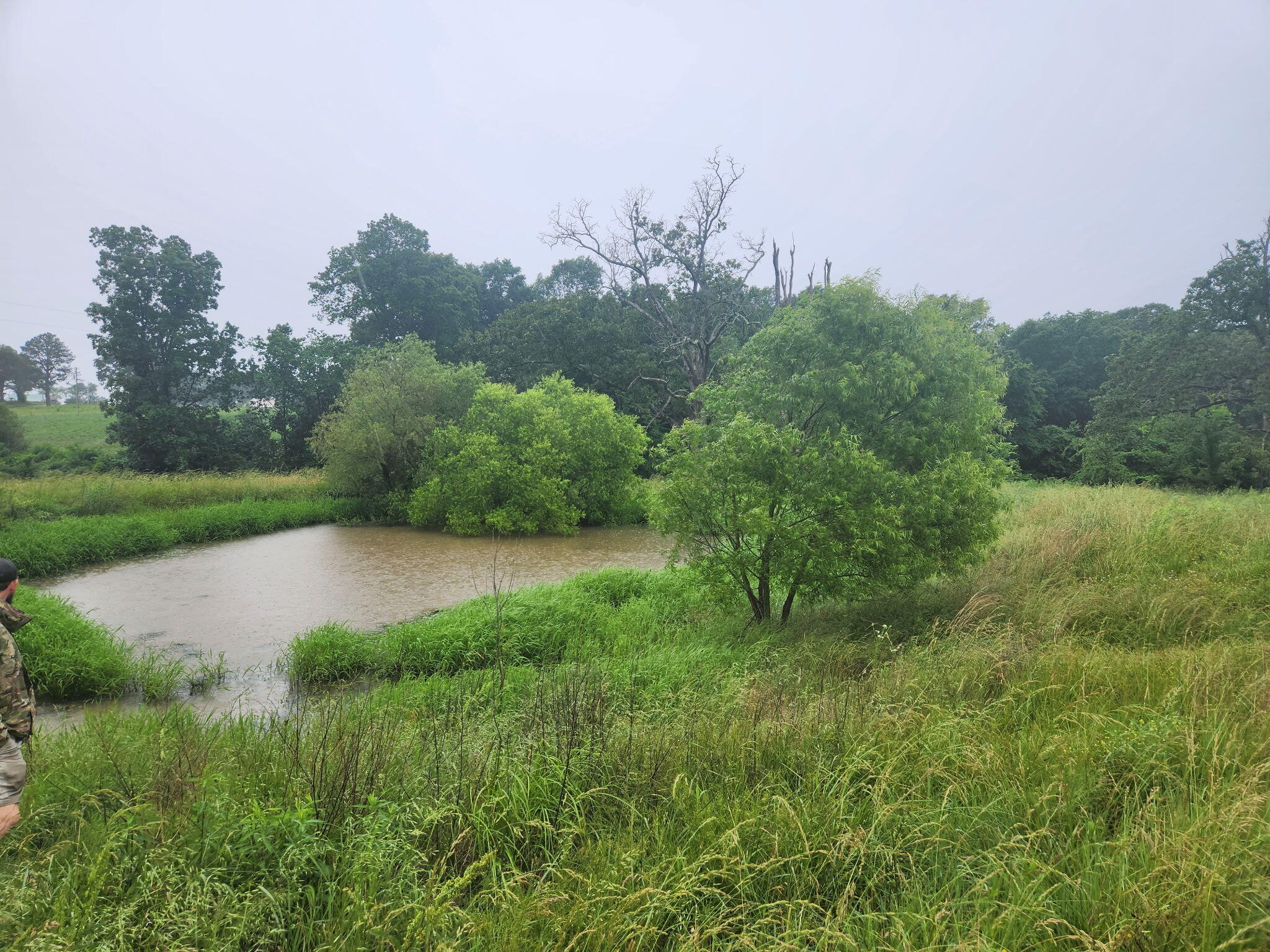 2224 Golo Road Mayfield, KY 42066 - Photo 12 of 15 86550038-ee8c-4cc3-8ec9-8970943a67c4-1_a