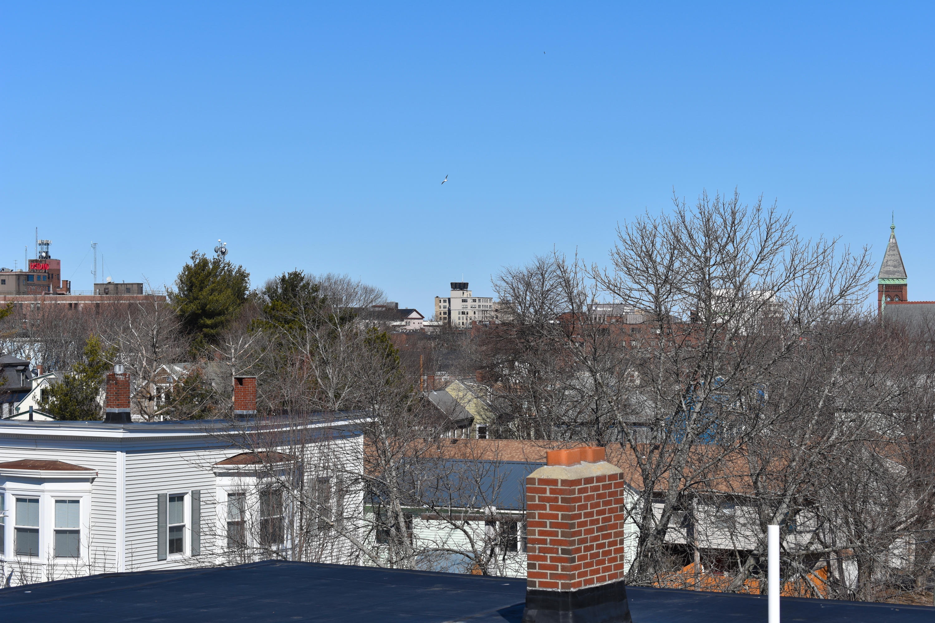 258 Danforth Street, Unit 5 Portland, ME 04102 - Photo 13 of 33 DSC_0075_1005