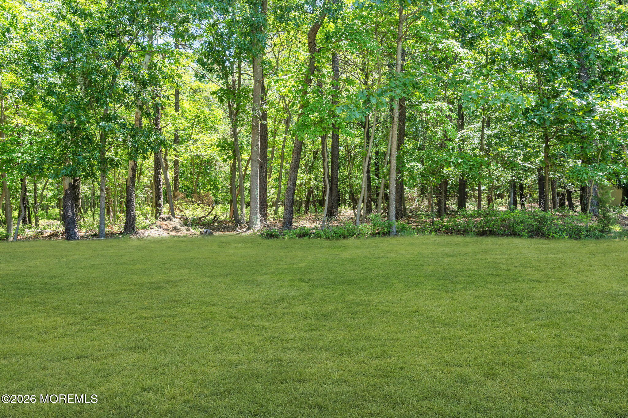 819 Harmony Road Jackson, NJ 08527 - Photo 73 of 83 75-web-or-mls-DSC08963-1