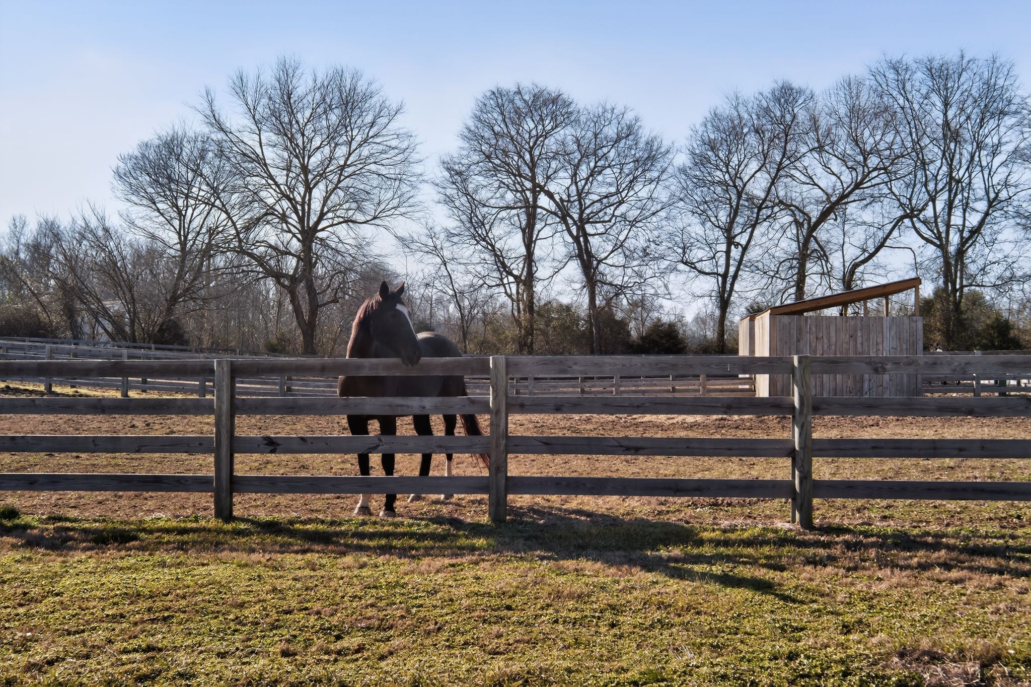 441 Matts Hollow Road Manchester, TN 37355 - Photo 1 of 63