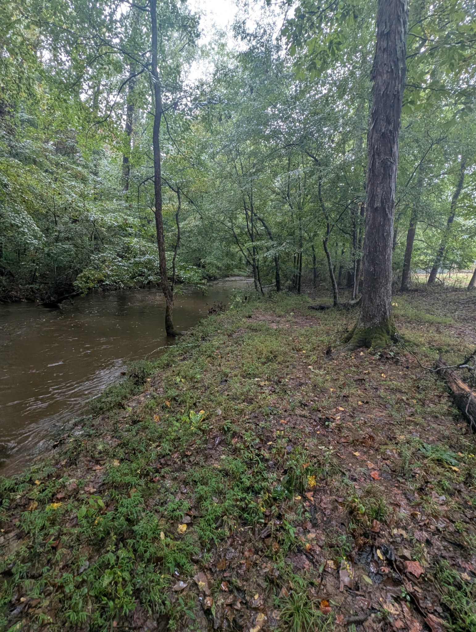 441 Matts Hollow Road Manchester, TN 37355 - Photo 59 of 63
