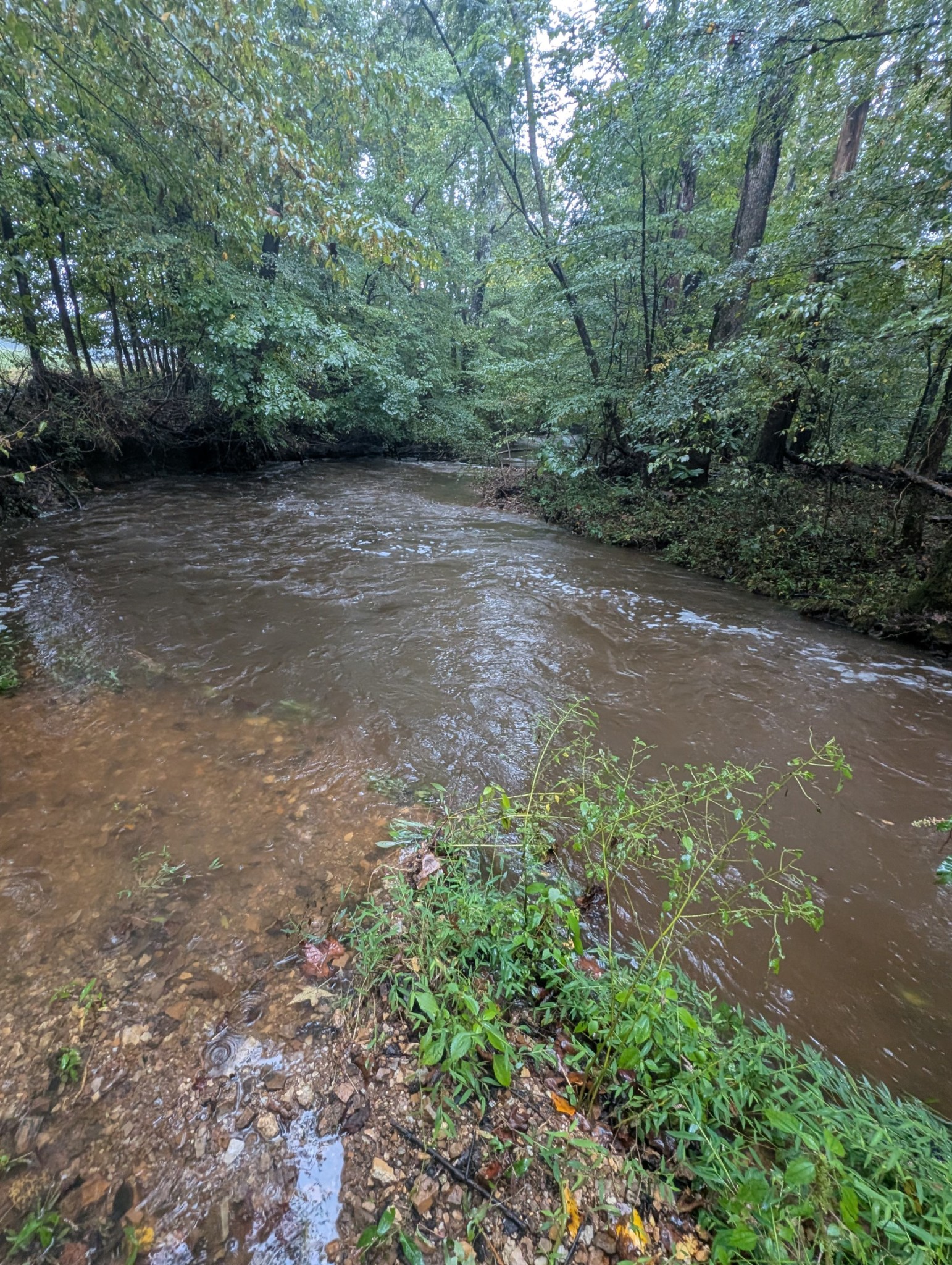 441 Matts Hollow Road Manchester, TN 37355 - Photo 62 of 63