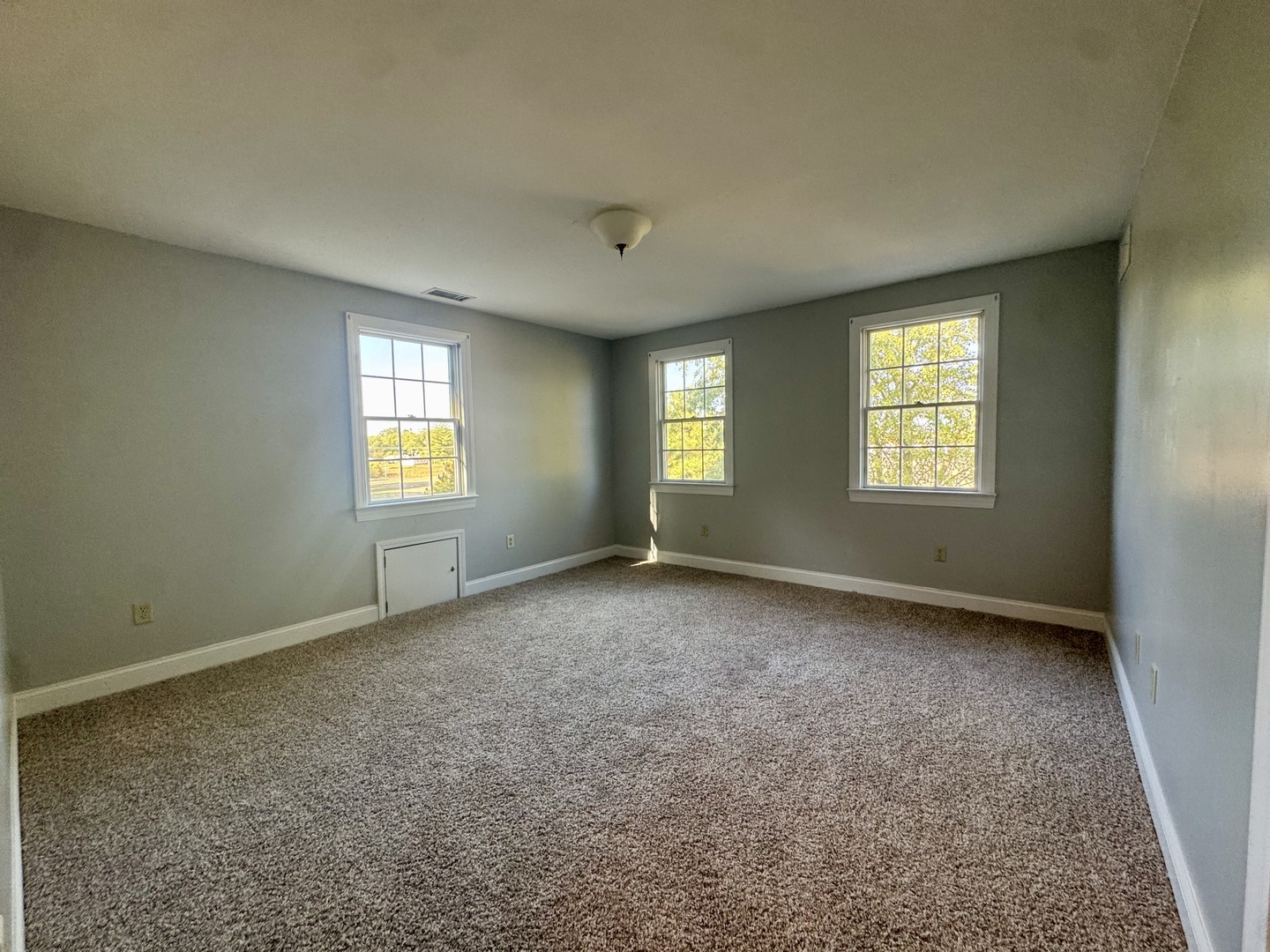 102 North Avenue Ina, IL 62846 - Photo 33 of 55 Gallery Image 33