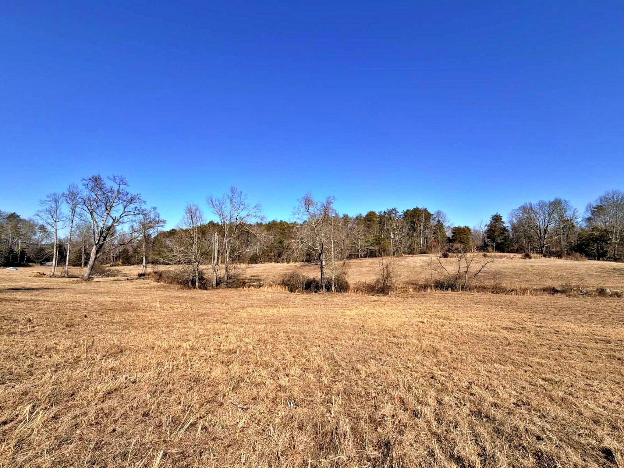 1678 Ward Road Decatur, TN 37322 - Photo 14 of 20 Gallery Image 14