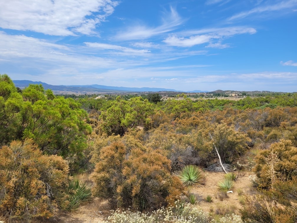1 Wagon Wheel Road Anza, CA 92539 - Photo 19 of 31 a view of lake with mountain in the background