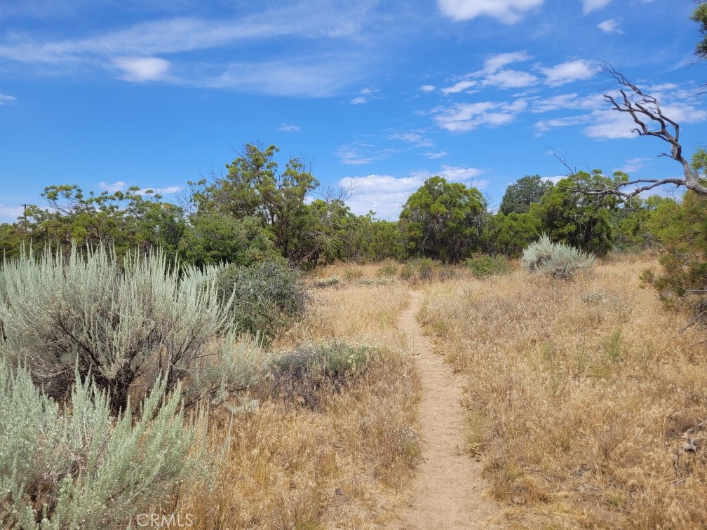1 Wagon Wheel Road Anza, CA 92539 - Photo 20 of 31 a view of lake with green space