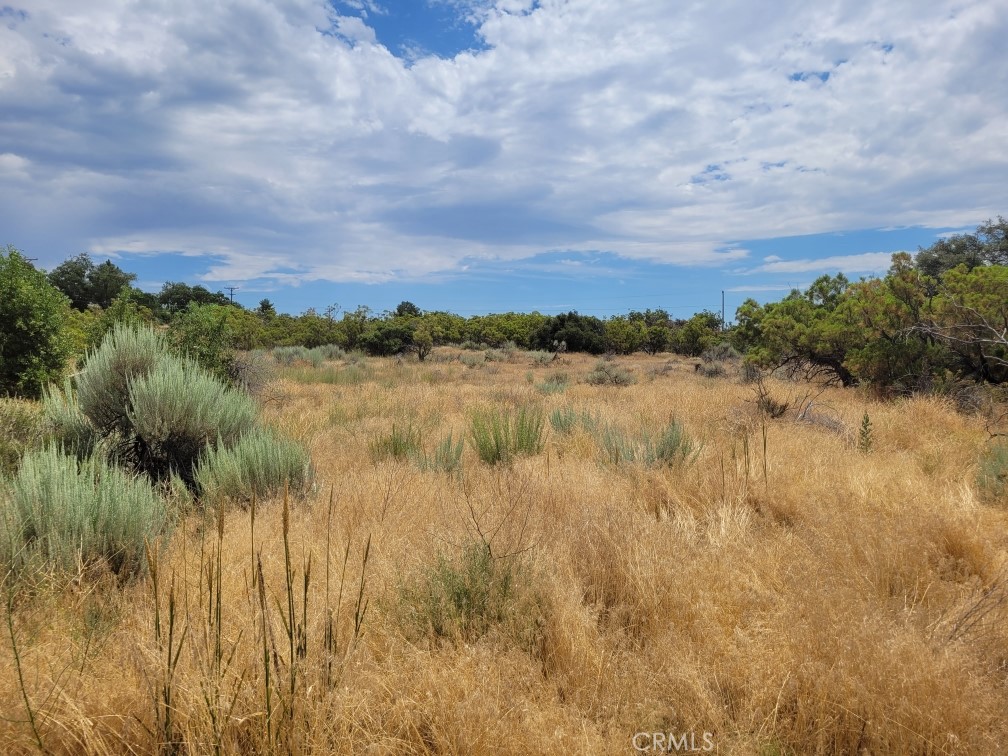 1 Wagon Wheel Road Anza, CA 92539 - Photo 2 of 31 a view of lake with mountain