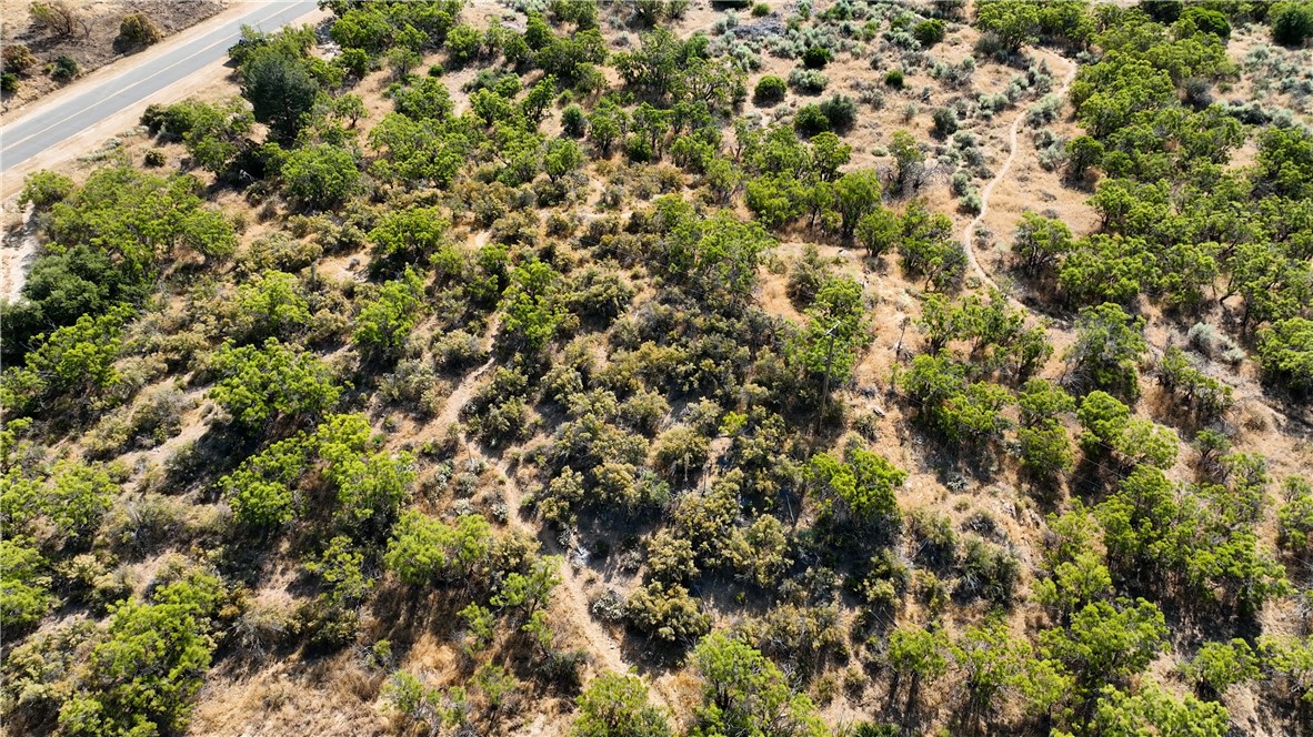 1 Wagon Wheel Road Anza, CA 92539 - Photo 31 of 31 a view of a yard