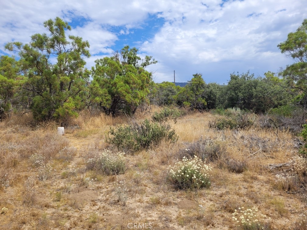 1 Wagon Wheel Road Anza, CA 92539 - Photo 4 of 31 a view of a dry yard with lots of green space