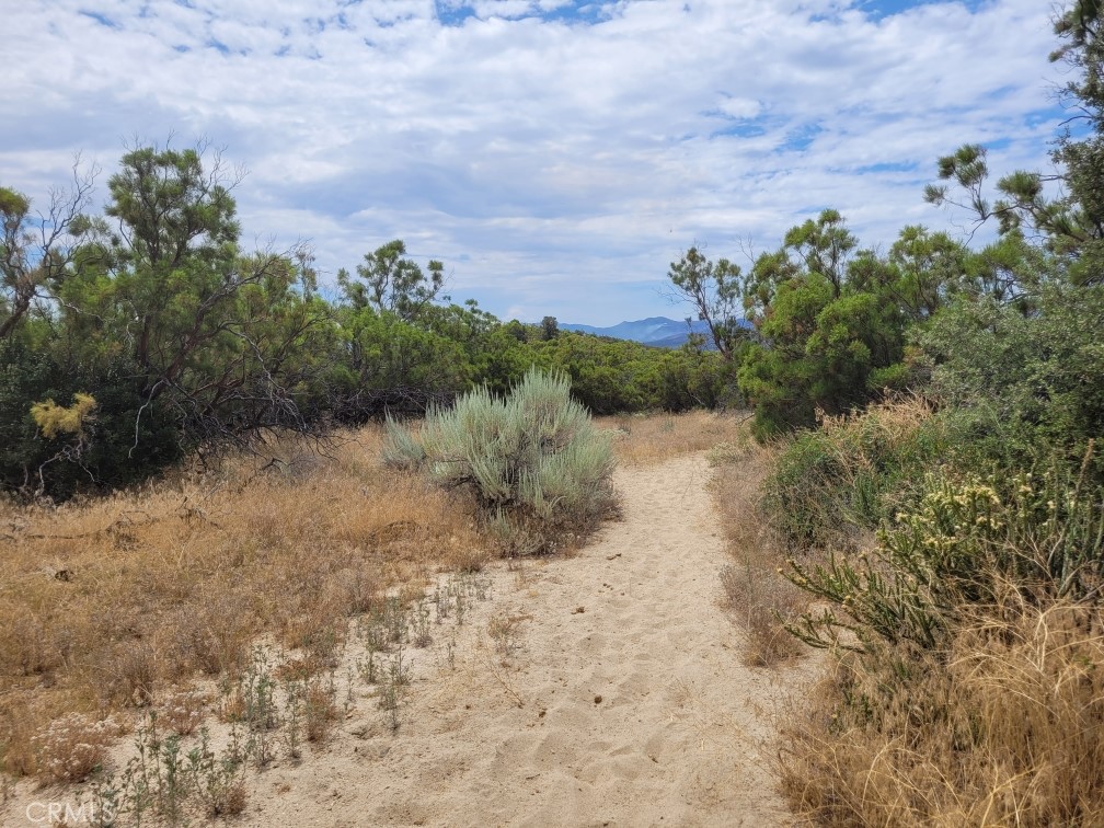 1 Wagon Wheel Road Anza, CA 92539 - Photo 5 of 31 a view of a lake with mountains in the background