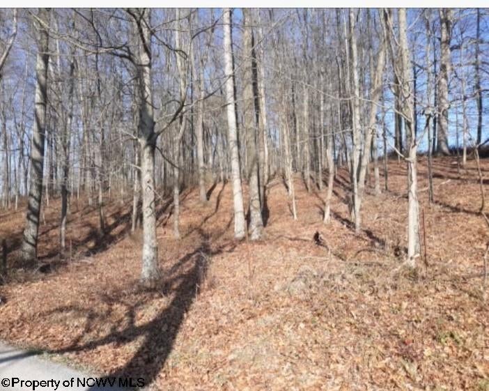 6-acres Hidden Valley Road Jane Lew, WV 26378 - Photo 10 of 10 Gallery Image 10