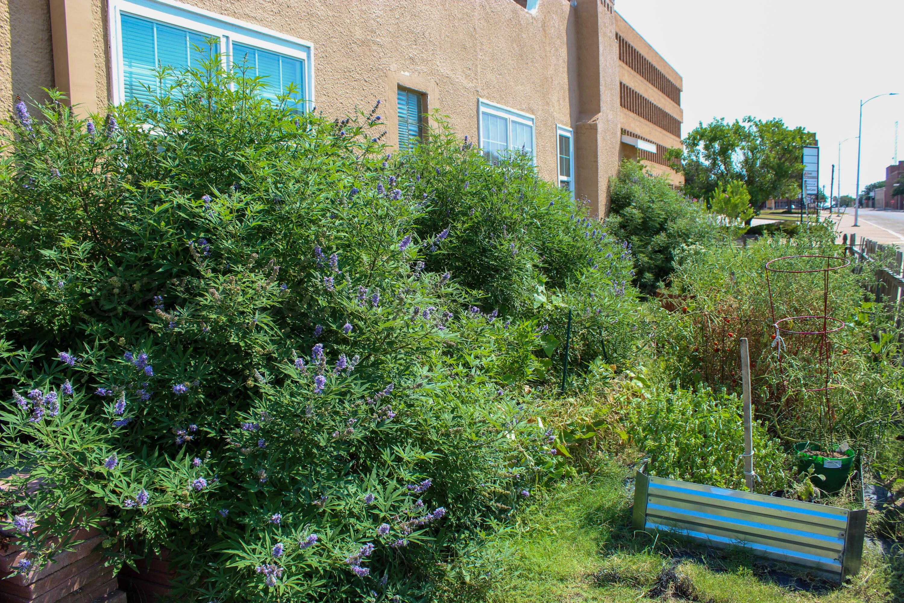 601 Coble Street Borger, TX 79007 - Photo 2 of 15 Photo Aug 22 2025, 11 16 09 PM