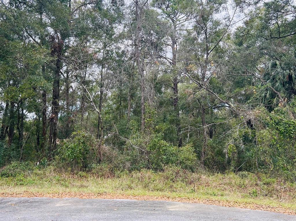 Tba Southwest 97th Street Dunnellon, FL 34432 - Photo 1 of 1 a view of a yard with large trees